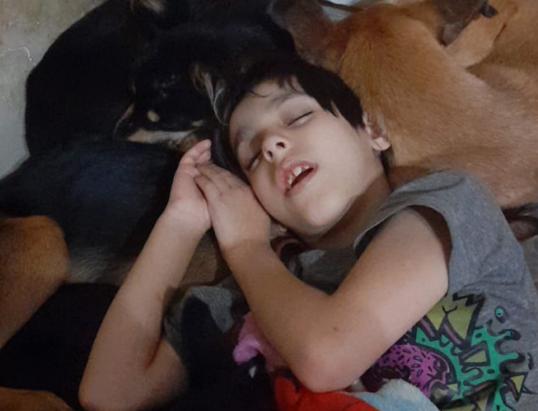 Quieren sacrificar en Villa Elisa a 9 perros que ayudan a chicos discapacitados: "Es discriminación, un delito muy grave"