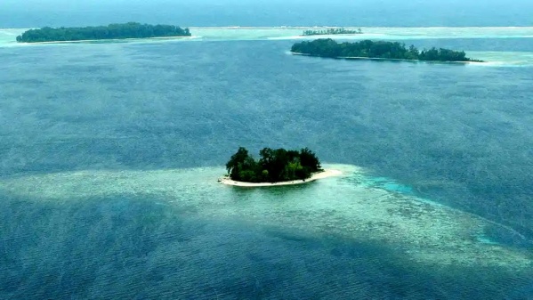 Dos náufragos sobrevivieron casi un mes en una isla desierta comiendo cocos
