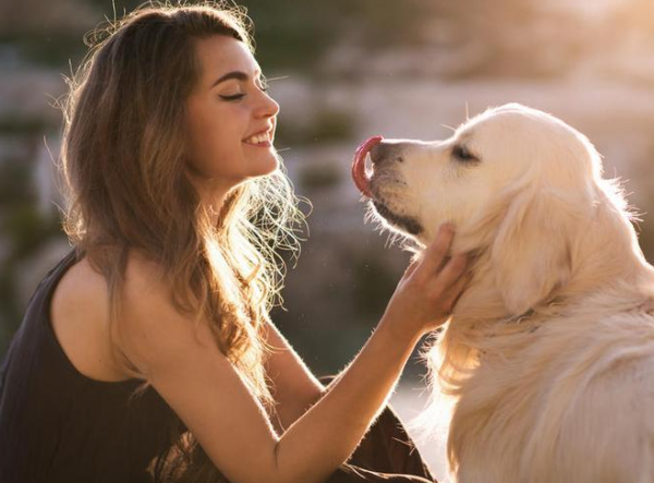 Jugar o acariciar a perros podría generar ondas cerebrales de "relajación" en las personas