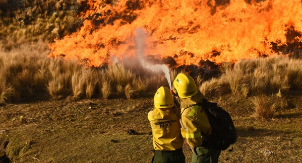 Diputados debatirá el proyecto de ley que busca combatir los incendios forestales en Argentina