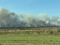 Lograron controlar el feroz incendio en la Reserva Natural de Punta Lara