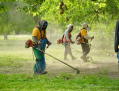 Fumigarán este miércoles en el Casco Urbano, Tolosa y Villa Elvira para prevenir el dengue