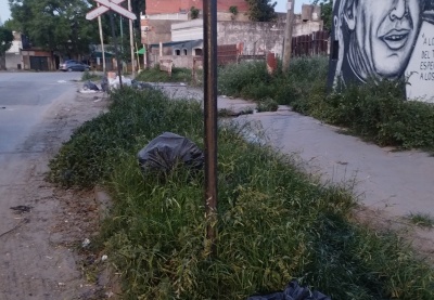 En Barrio Hipódromo reclamaron que se corte el pasto de forma urgente