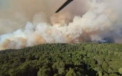 Incendio en el Parque Nahuel Huapi: el avance de las llamas quemo más de 1500 hectáreas y el humo cubrió Bariloche