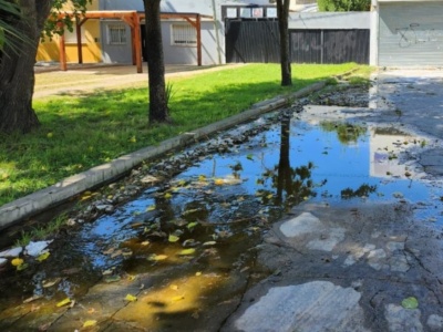 Reclaman por una gran pérdida de agua en un barrio de La Plata: "Es una fuente de dengue"