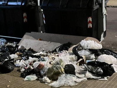 "Hartos": afirman que la basura desbordó una calle de La Plata y que los perros rompen las bolsas a toda hora