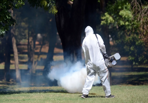 El operativo contra el dengue llega este jueves a seis calles del Casco Urbano de La Plata