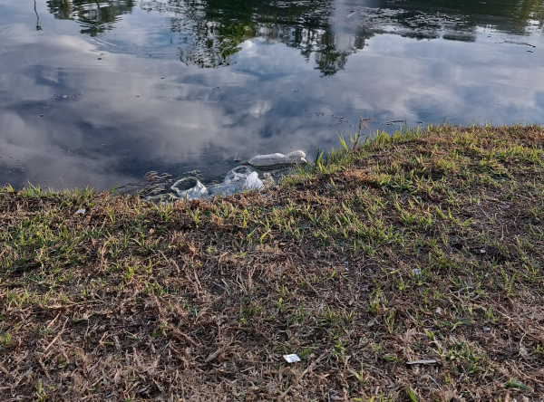 Vecinos reclamaron por bolsas y mugre en el histórico lago de Parque Saavedra