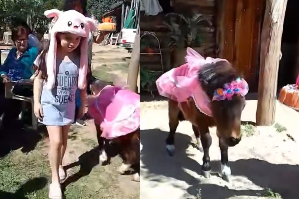 Tunearon a su poni con un vestido rosa, le festejaron su cumpleaños en familia y el video se hizo viral