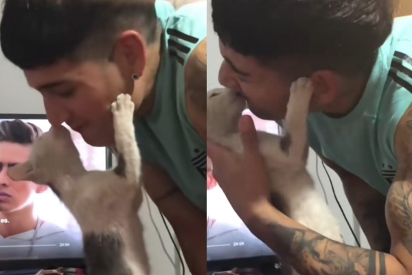 "Ya me da celos gente": su gatita se enamoró de su novio y el video besándolo se hizo popular en las redes