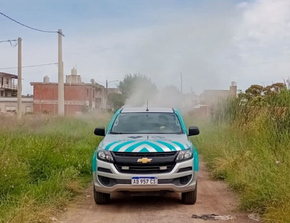 Tras las quejas por la invasión de mosquitos, el municipio de La Plata informó que fumigaron en Ringuelet y Romero