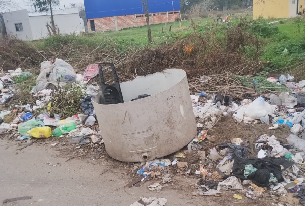 "Es un asco esa esquina": en 165 y 58 reclamaron por un basural cada vez más grande