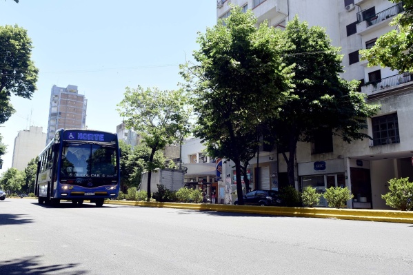 El domingo de elecciones funcionará el transporte público de manera gratuita en La Plata