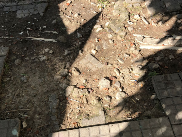 Vecinos de La Plata piden por el reparo de veredas destruidas en 19 y 46: “necesitamos que la arreglen”