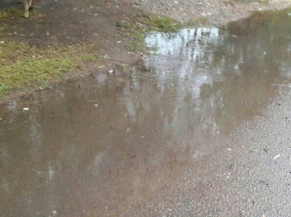 Una vecina de Los Hornos reclamó que limpien el desagüe de una calle: "Ni las ambulancias quieren entrar cuando llueve"