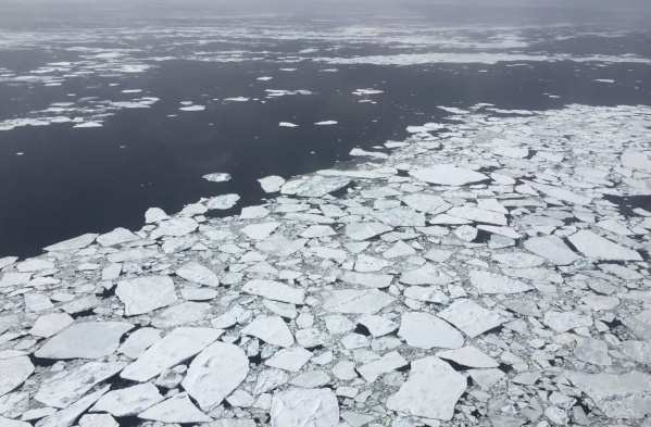 Advirtieron que el hielo marino de la Antártida sufrió "un descenso histórico" en su volumen