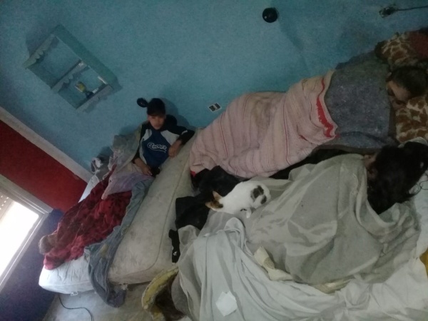 Sufrían violencia familiar en La Plata, los sacaron de su casa y ahora necesitan una cama digna: “Ni un perro duerme así"