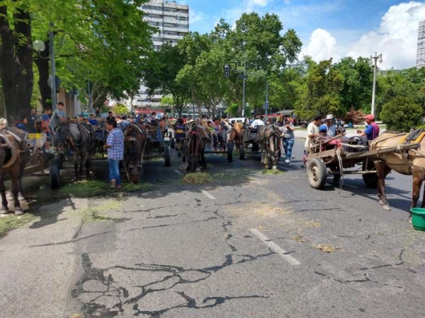 Protesta de cartoneros en La Plata: &quot;No podemos cobrar 3.500 pesos&quot;