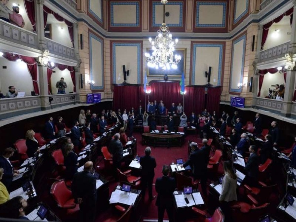 Fuerte cruce en el Senado Bonaerense por el futuro de EDELAP y el rol del OCEBA
