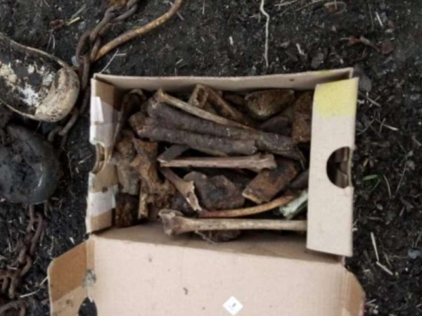 Hallaron restos óseos en una vivienda de Berisso