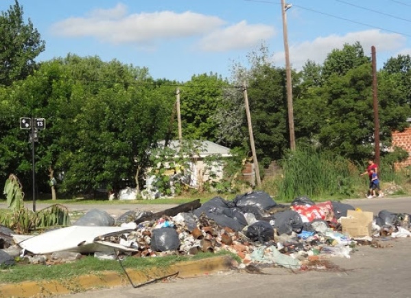 "Las lauchas me comen todo": Una platense denuncia a sus vecinos por acumular basura