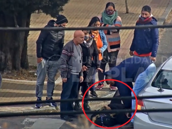 Embistieron a una ciclista en Parque Saavedra y cayó de cabeza al asfalto