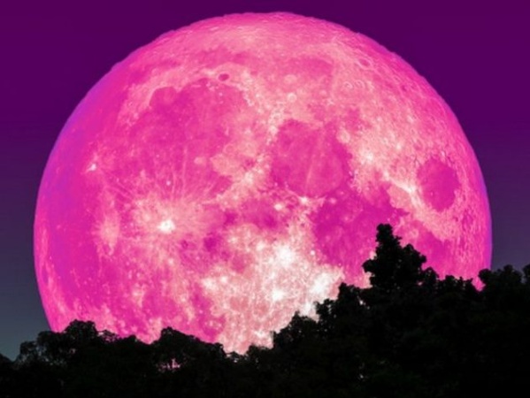 Este martes, "Superluna rosa": ¿Cuándo verla y cómo influye en los signos del zodíaco?