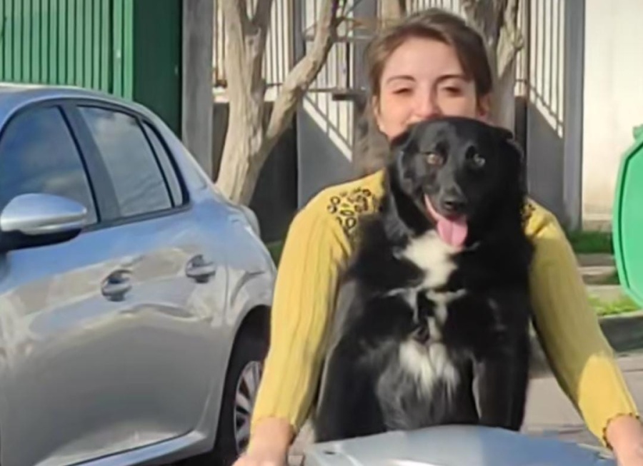 Una joven compartió el disfrute de su perra cuando la lleva en moto y fue viral: ”La verdadera butaquera”