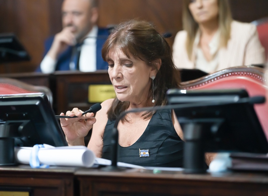 Senadores bonaerenses del Frente de Todos repudiaron el ataque de Espert a Néstor Kirchner: ”Es una actitud cobarde”