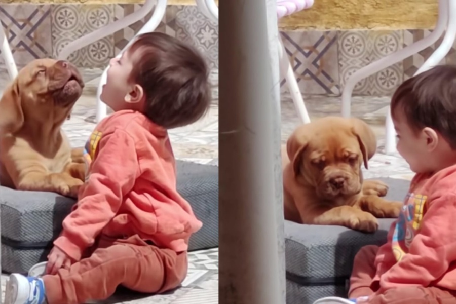 ”Me dio un ataque de amor”: filmó a su hijo junto a su cachorro y enterneció las redes sociales
