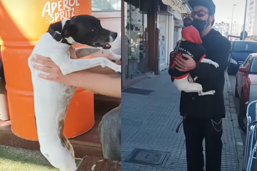 ”Te ama demasiado entendela”: adoptaron una perrita y su intensidad por sus dueños se hizo viral en las redes