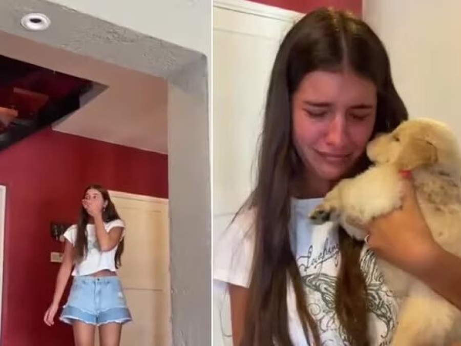 Le regaló un cachorro a su novia y la reacción conmovió en TikTok: ”Después de tanto llanto, ella es feliz”