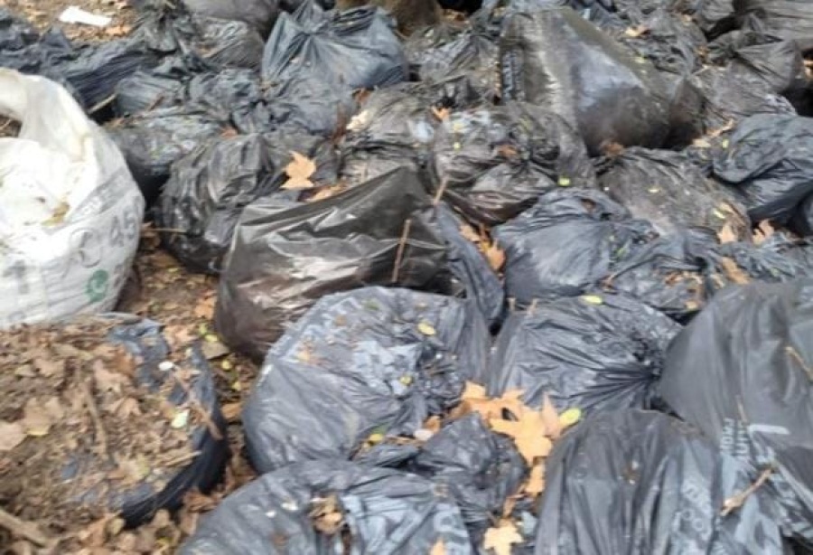 Vecinos de Parque Saavedra reclaman por las bolsas de basura que ”no paran de acumularse”