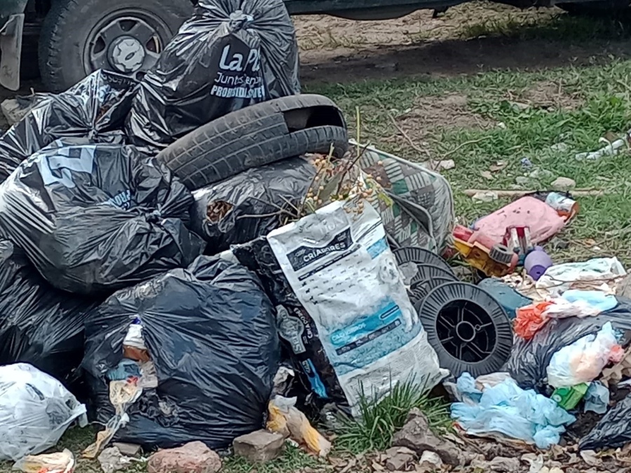 Piden más contenedores de basura en Los Hornos