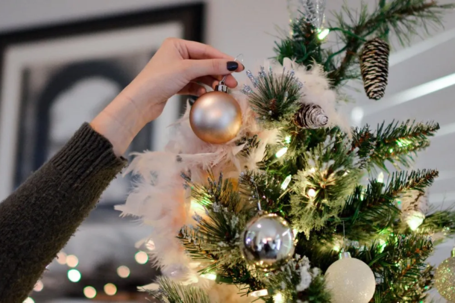Un padre platense sin empleo buscaba un árbol de Navidad y una usuaria compartió una creativa idea: ”Lo hago todos los años”