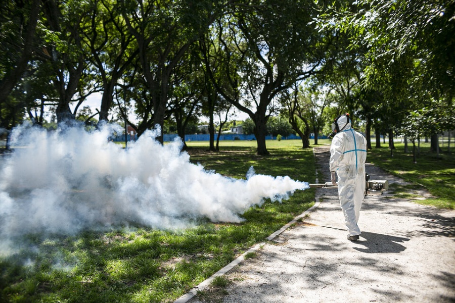 Dengue en la Provincia: los casos en estudio dieron un salto pero todavía no hay brotes