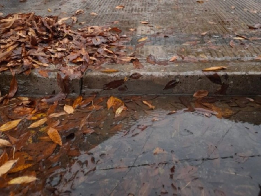 Reclaman por una pérdida de agua que se pone cada vez peor en una calle platense