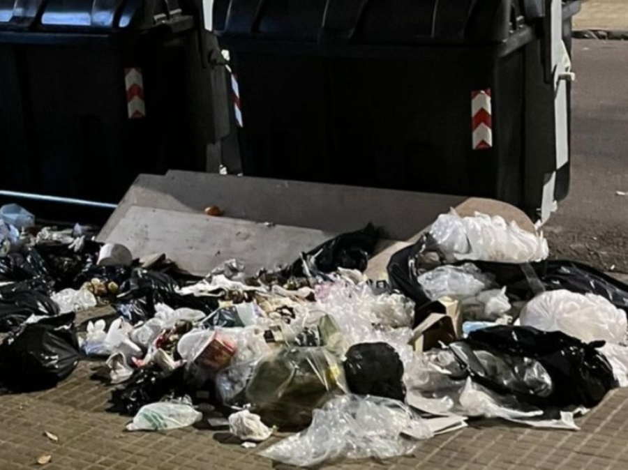 ”Hartos”: afirman que la basura desbordó una calle de La Plata y que los perros rompen las bolsas a toda hora