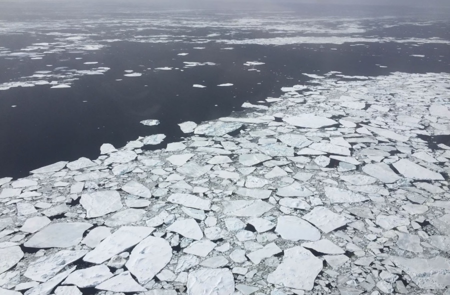 Advirtieron que el hielo marino de la Antártida sufrió ”un descenso histórico” en su volumen