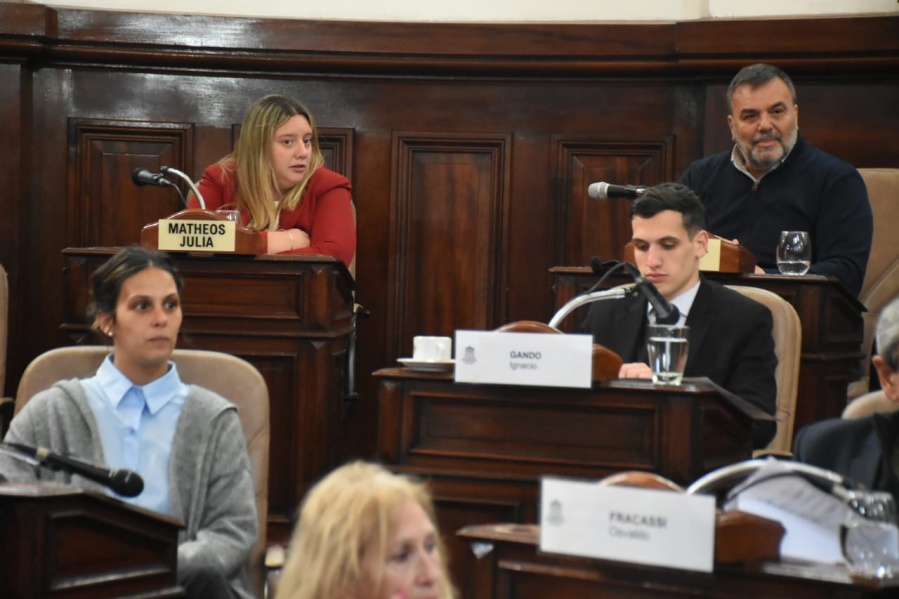 Tres concejales radicales de La Plata votaron junto a Unión por la Patria el repudio al ”negacionismo de Milei”