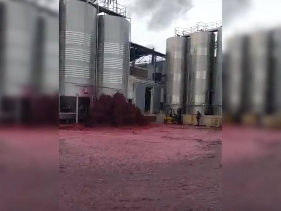 Un río de vino tinto inundó una bodega, pero también las redes: el video que se volvió viral