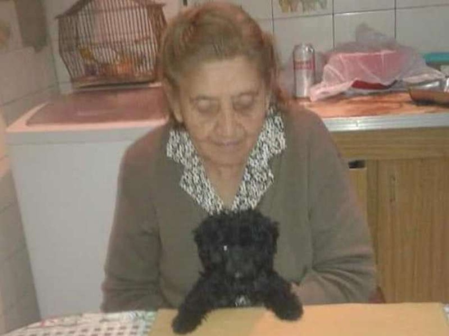Tiene 90 años, sufre Alzheimer y necesita recuperar a su perrito perdido en La Plata: ”No para de llorar y pregunta todos los días por él”