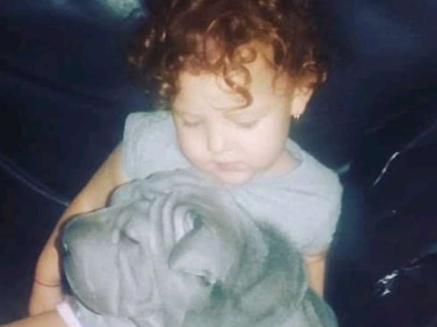 Conmovedor pedido de una nena de La Plata que perdió a su perrita: ”Si me devolvés a Gomita te regalo todos mis juguetes”