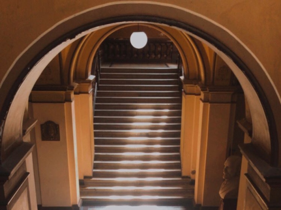 ”Siempre me genera cosas”: un detalle en las escaleras de un edificio público icónico de La Plata deslumbró a todos