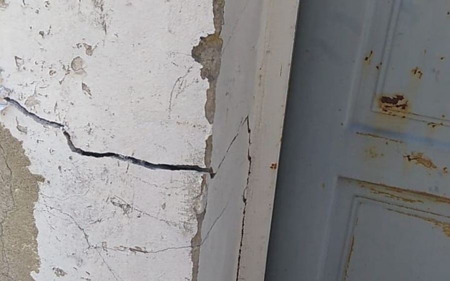 Una vecina de Barrio Hipódromo aseguró que no puede abrir la puerta por culpa de un tilo