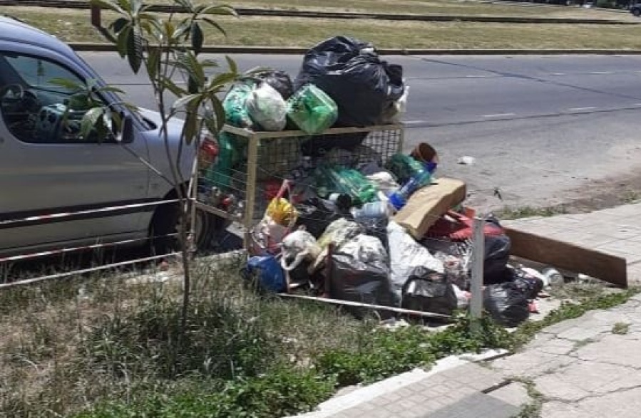 Un posible foco infeccioso tiene preocupados a los vecinos de Los Hornos